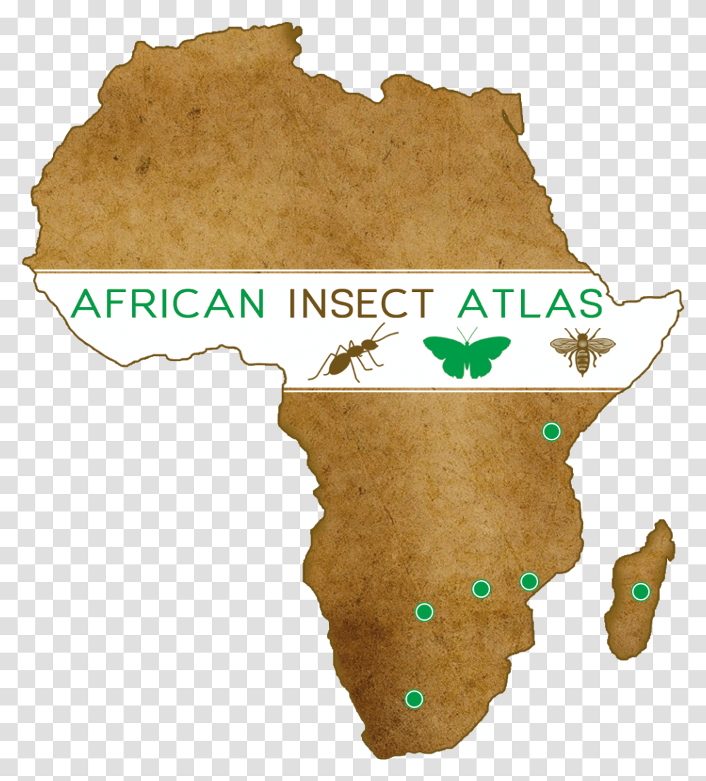 African Insect Atlas Africa On Map, Cracker, Bread, Food, Plot Transparent Png