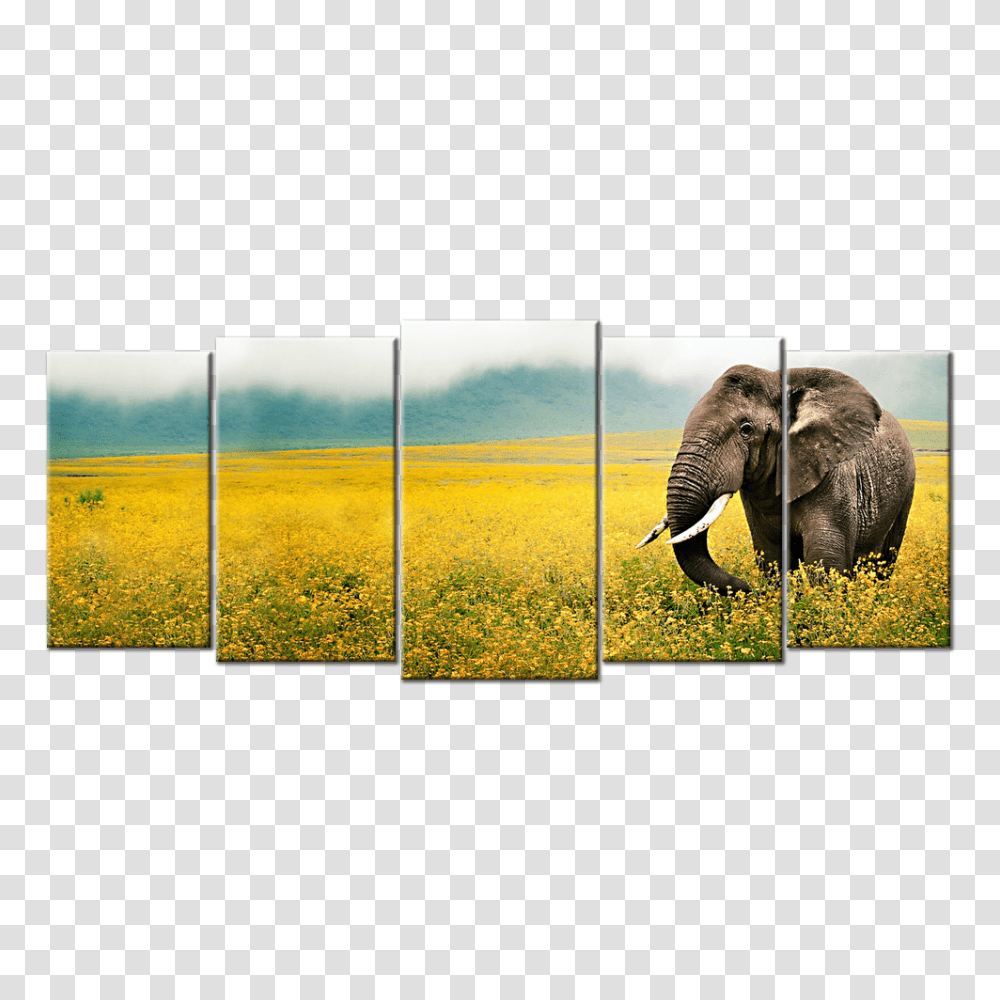 African Landscape Wildlife Canvas Elephant Grass Field Walk Sky, Mammal, Animal Transparent Png
