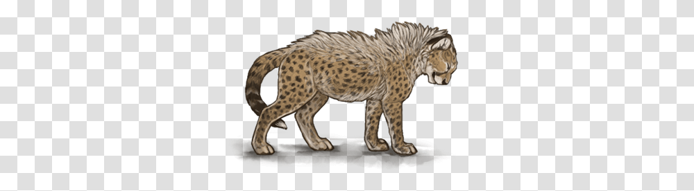 African Leopard, Panther, Wildlife, Mammal, Animal Transparent Png