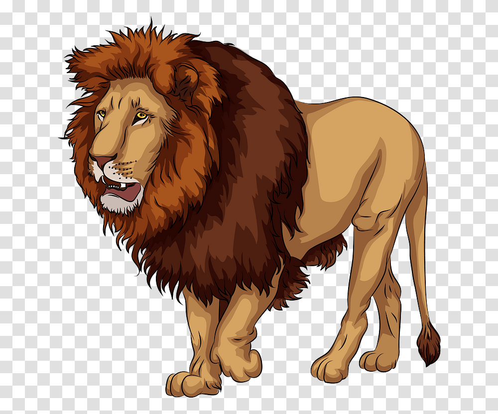 African Lion Clipart Examples Of Carnivores Animals, Wildlife, Mammal Transparent Png