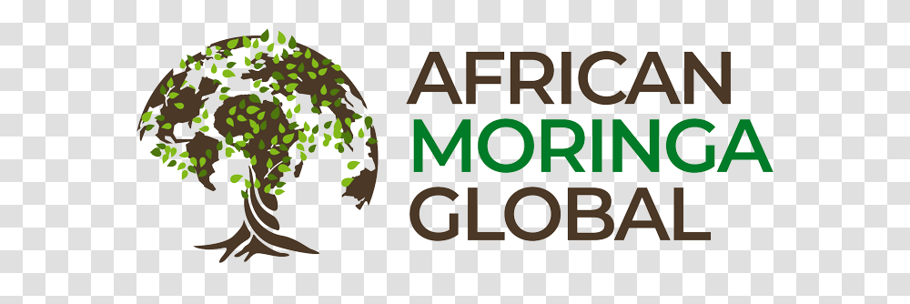 African Moringa Global Tree, Vegetation, Plant, Text, Land Transparent Png