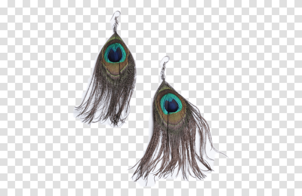 African Peacock Feather Hook Earrings Feather Earring Background, Bird, Animal, Jewelry, Accessories Transparent Png
