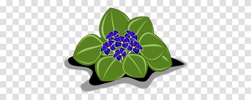 African Violet Nature, Leaf, Plant, Flower Transparent Png