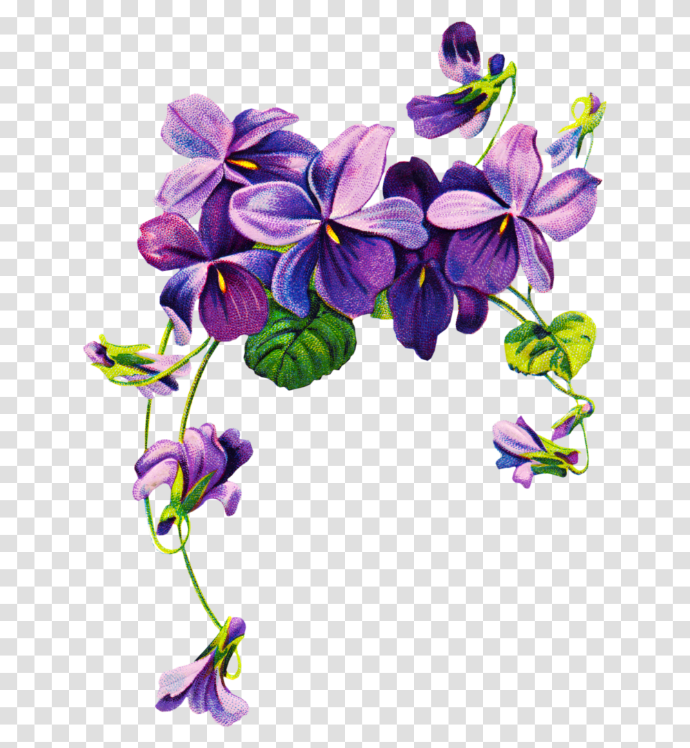 African Violets Border Clip Art Free Vintage Violet Violet, Plant, Flower, Floral Design, Pattern Transparent Png