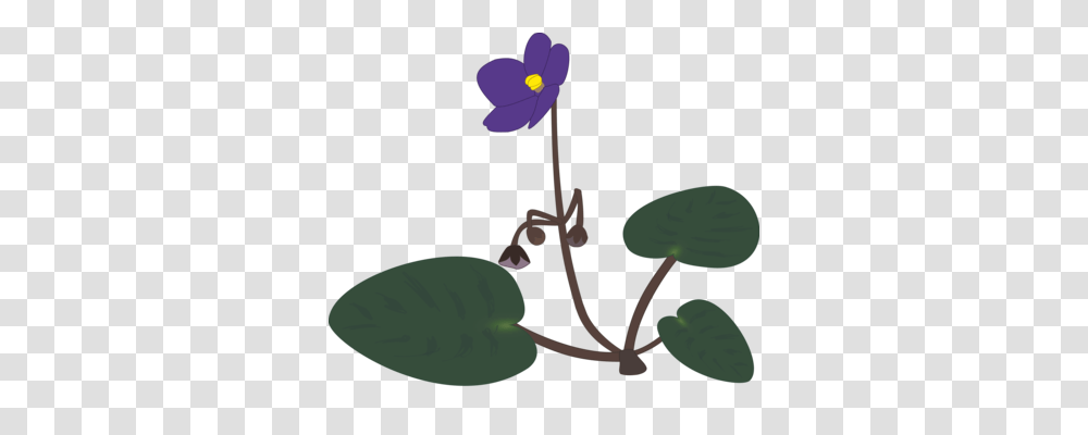 African Violets Plants Pansy Drawing Marsh Blue Violet Free, Flower, Acanthaceae, Annonaceae, Tree Transparent Png
