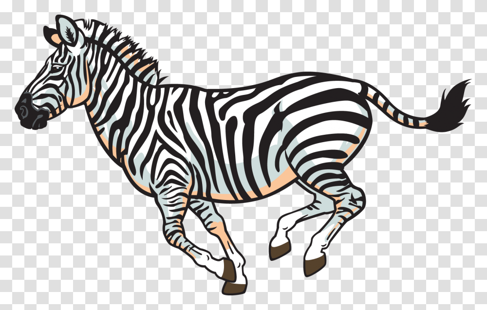 African Wild Animals Clipart, Zebra, Wildlife, Mammal Transparent Png