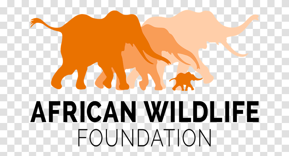 African Wildlife Foundation Logo, Bull, Mammal, Animal, Herd Transparent Png