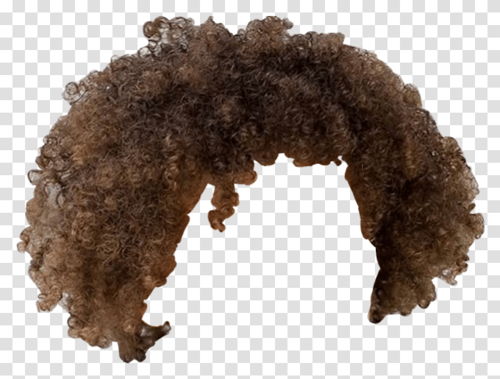 Afro Hair Brown Curls Bob Ross Hair, Mineral, Crystal, Quartz, Hole Transparent Png