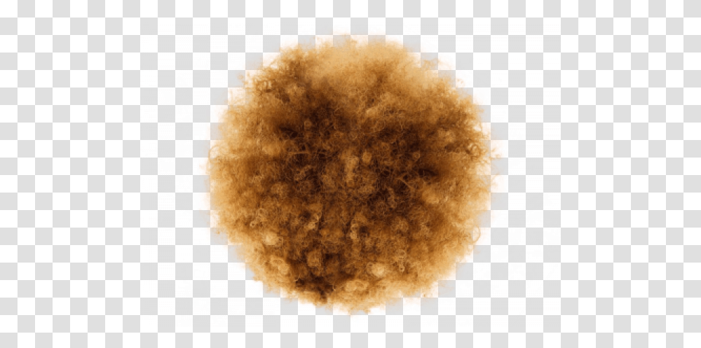 Afro Hair Free Images - Beyonce Afro, Pineapple, Stain, Pattern, Astronomy Transparent Png