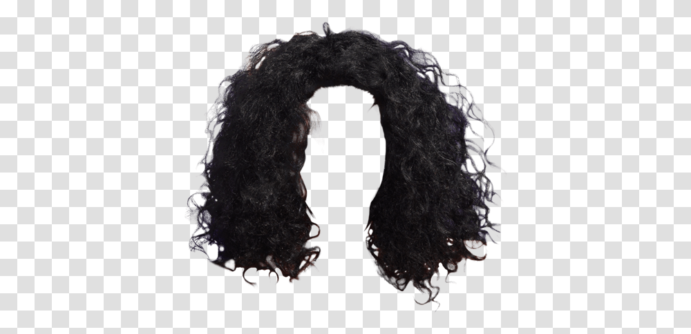 Afro Hair Images Curly Black Curly Hair, Bear, Wildlife, Mammal, Animal Transparent Png