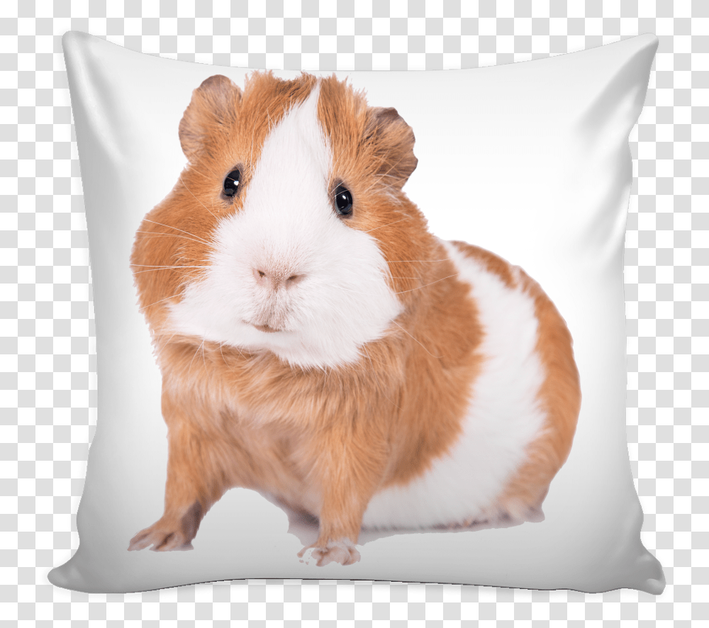 After All This Time Always Deer, Pillow, Cushion, Rodent, Mammal Transparent Png