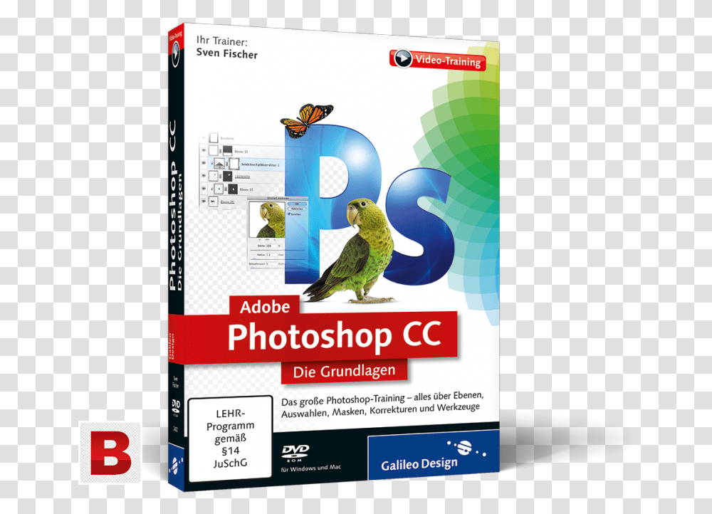 After Effect Adobe Photoshop, Bird, Animal, Poster, Advertisement Transparent Png