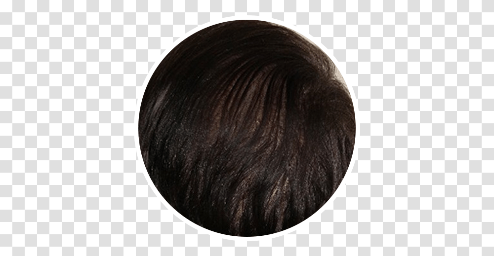 After Hair Restoration In A Circular Picture Blond, Wig, Black Hair, Astronomy Transparent Png