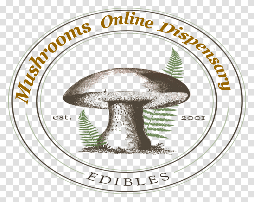 Agaric, Outdoors, Nature Transparent Png