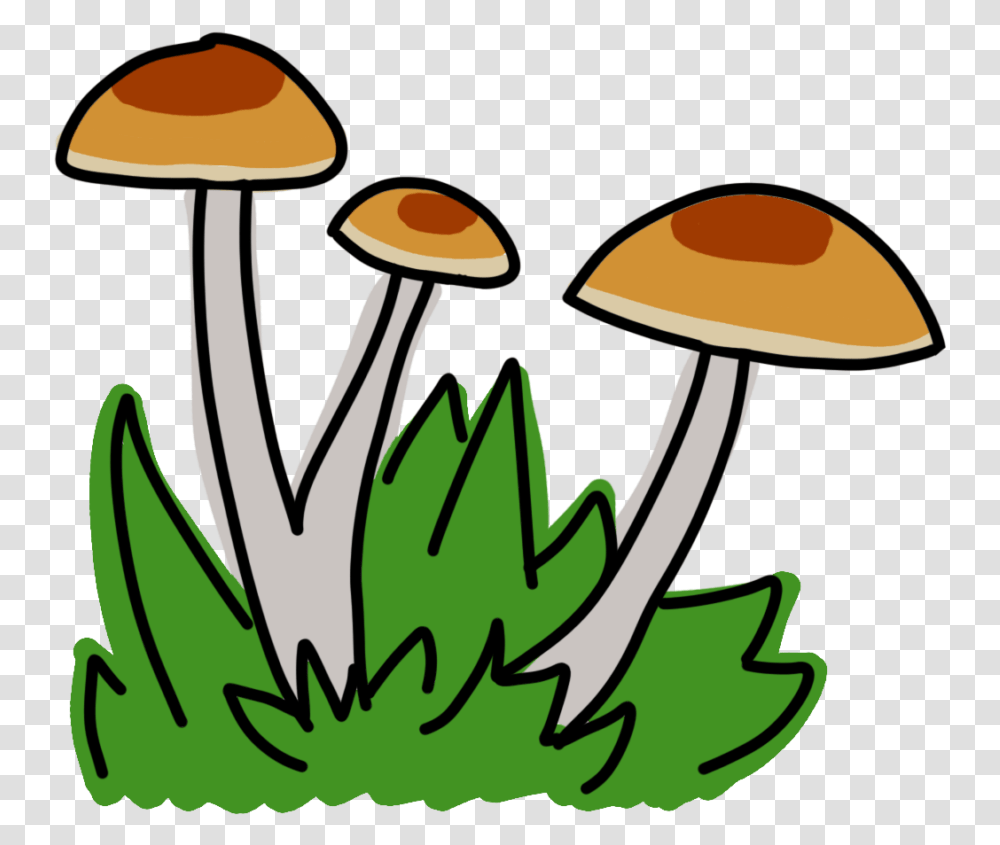 Agaricaceae, Plant, Mushroom, Fungus, Amanita Transparent Png