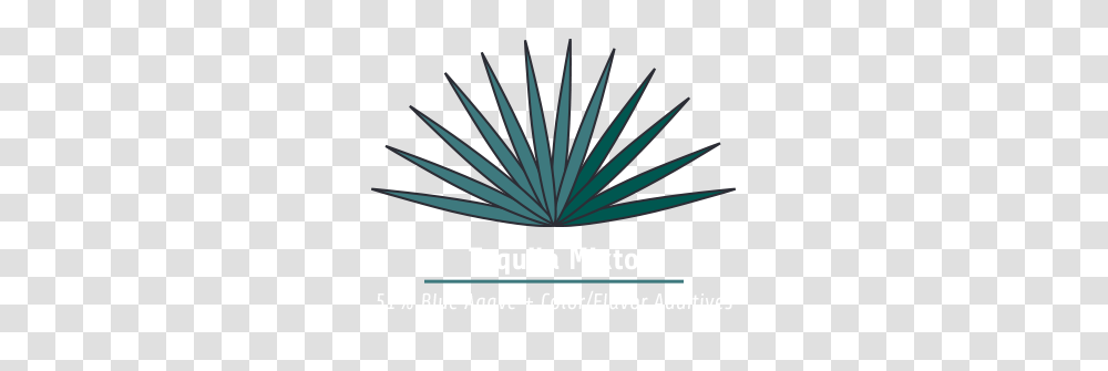 Agave Academy Tequila, Logo, Flyer Transparent Png