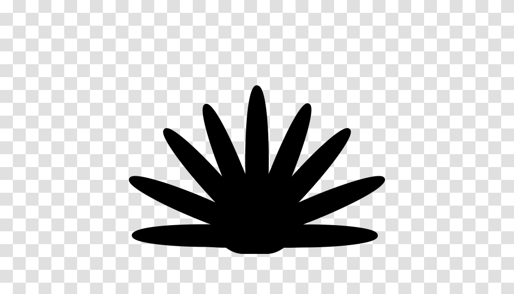 Agave Agave Pot Aloe Vera Icon With And Vector Format, Gray, World Of Warcraft Transparent Png