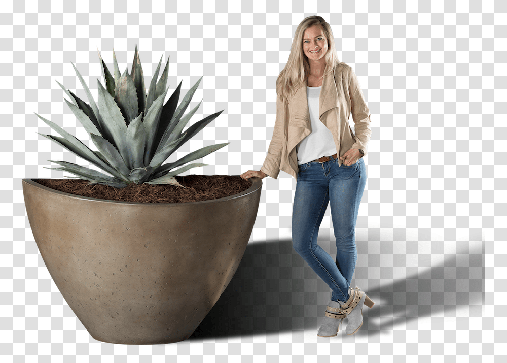 Agave Azul, Plant, Person, Human Transparent Png