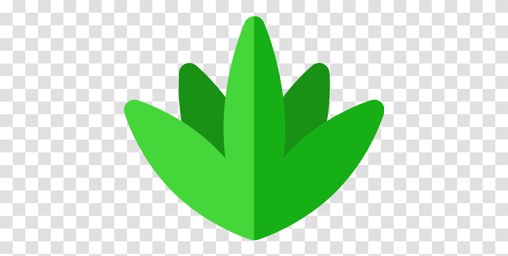 Agave Icon Mexico Icons Flowers, Leaf, Plant, Green, Symbol Transparent Png