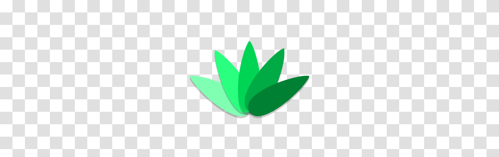 Agave Icon Papirus Apps Iconset Papirus Development Team, Green, Leaf, Plant, Logo Transparent Png