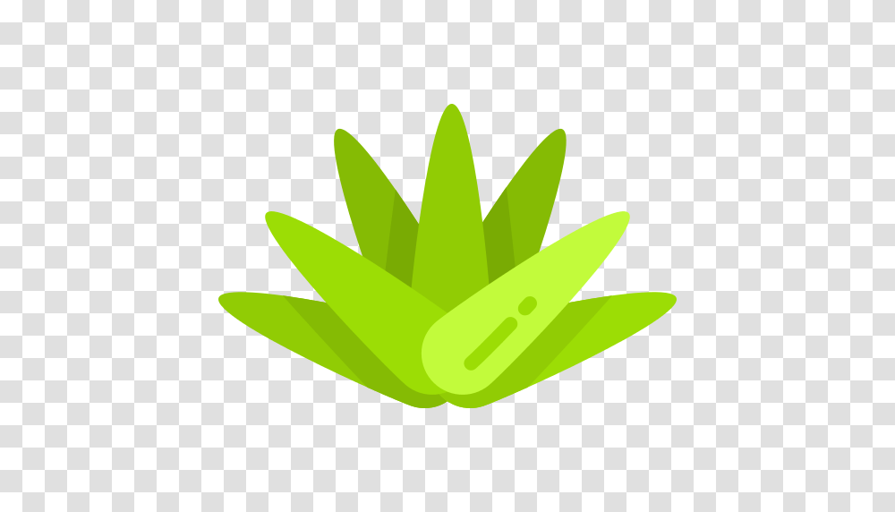 Agave Icons And Graphics, Plant, Petal, Flower, Leaf Transparent Png