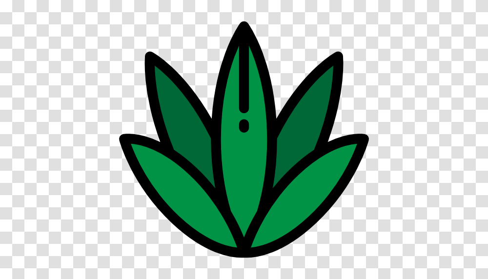 Agave, Leaf, Plant, Logo Transparent Png