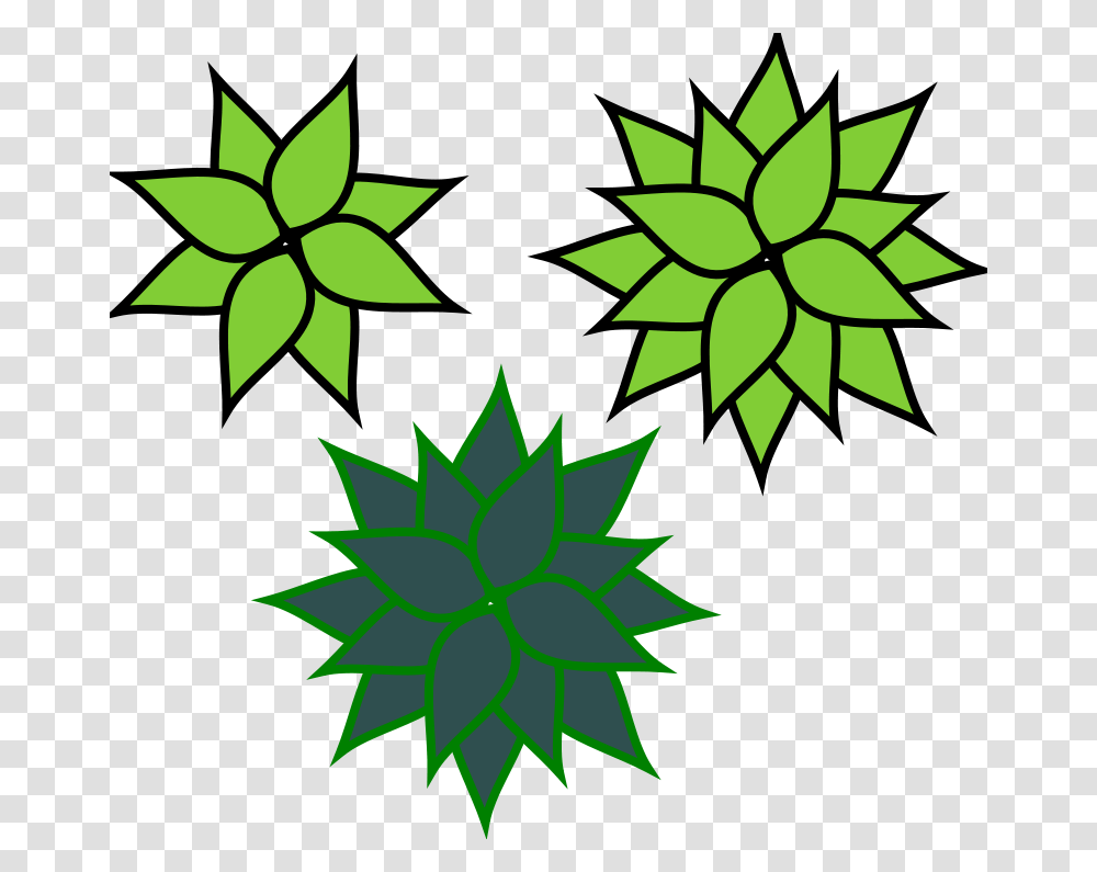 Agave, Nature, Leaf, Plant Transparent Png