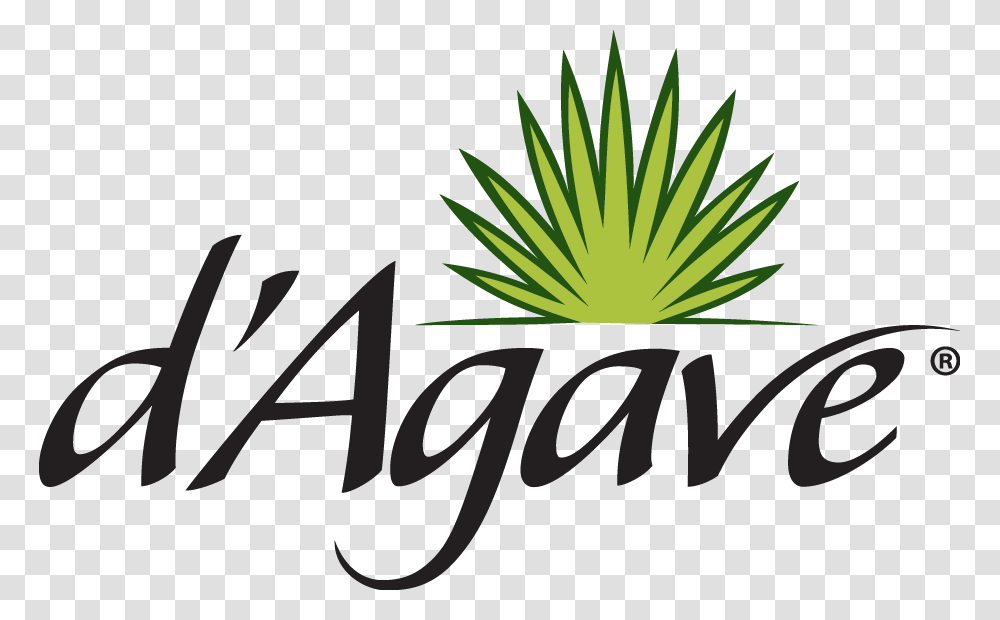 Agave Products Ciranda, Logo, Plant Transparent Png