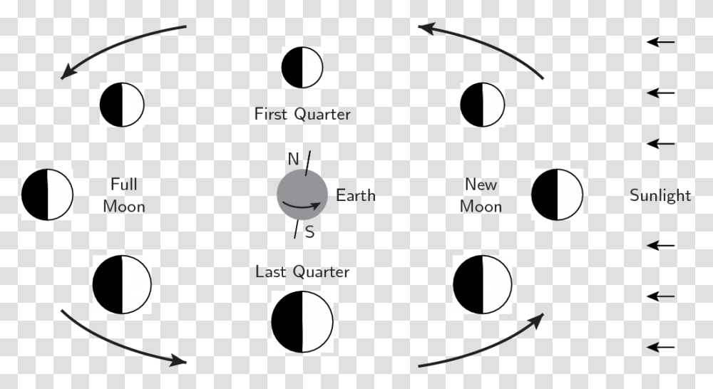 Age Of Moon, Bird, Plot, Diagram, Nature Transparent Png