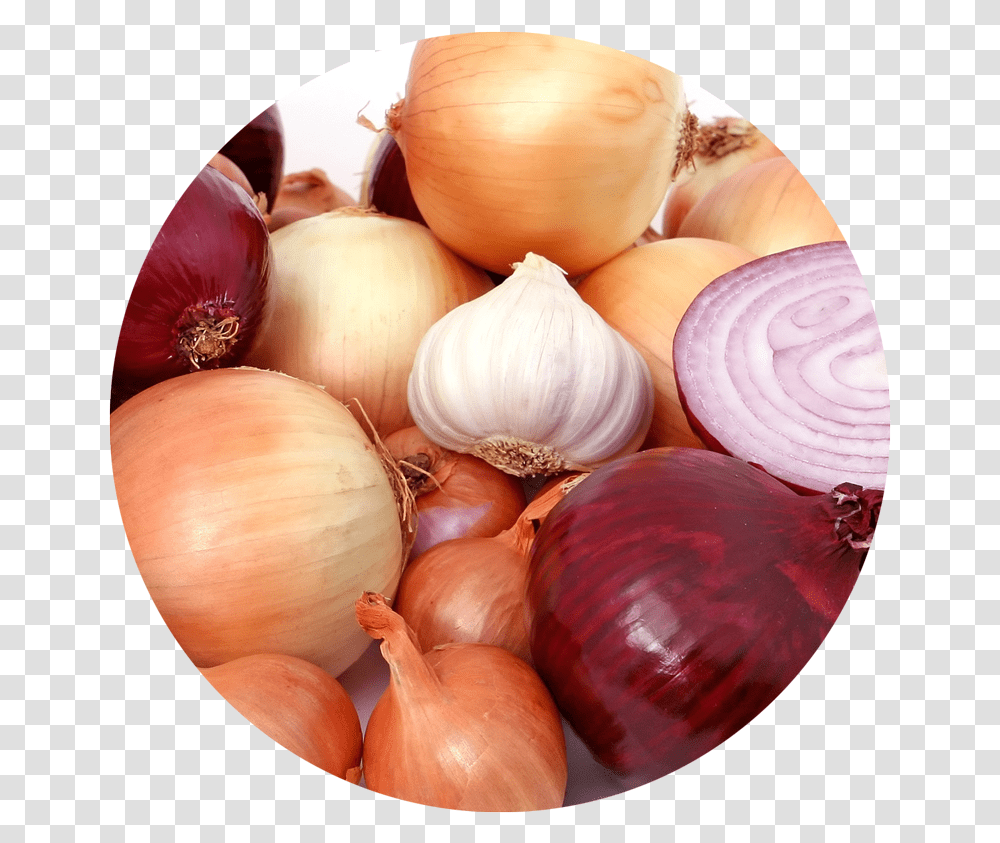 Aglio E Cipolle, Plant, Shallot, Onion, Vegetable Transparent Png