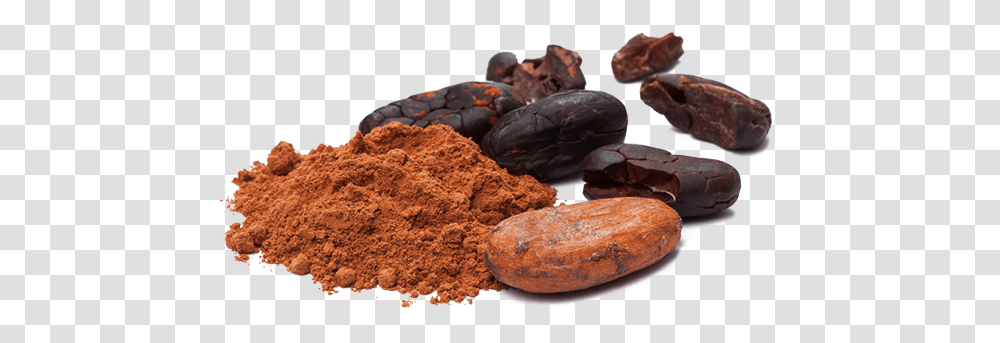 Agp About Us Cocoa, Plant, Soil, Food, Fudge Transparent Png