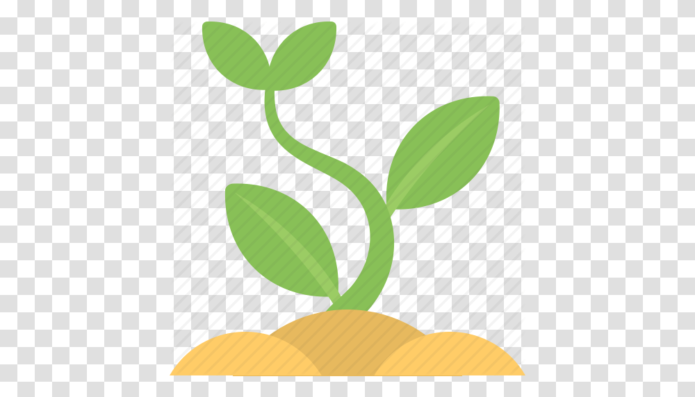 Agriculture Baby Plant Blooming Sprout New Growth Organic, Leaf, Bud, Flower, Blossom Transparent Png