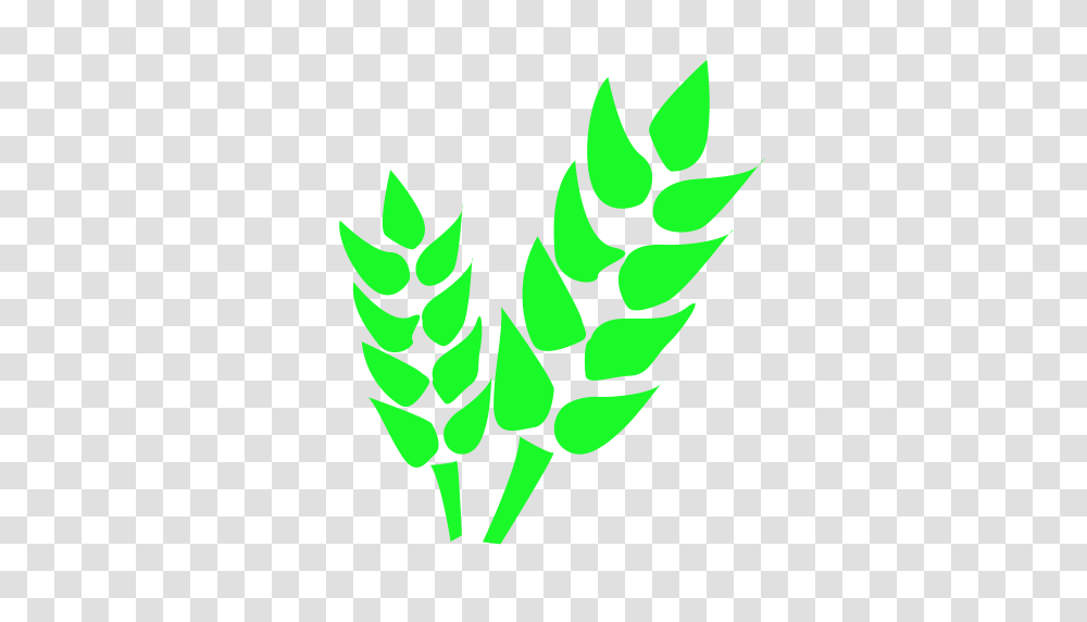 Agriculture Beer Fruit Icon With And Vector Format For Free, Green, Leaf, Plant Transparent Png