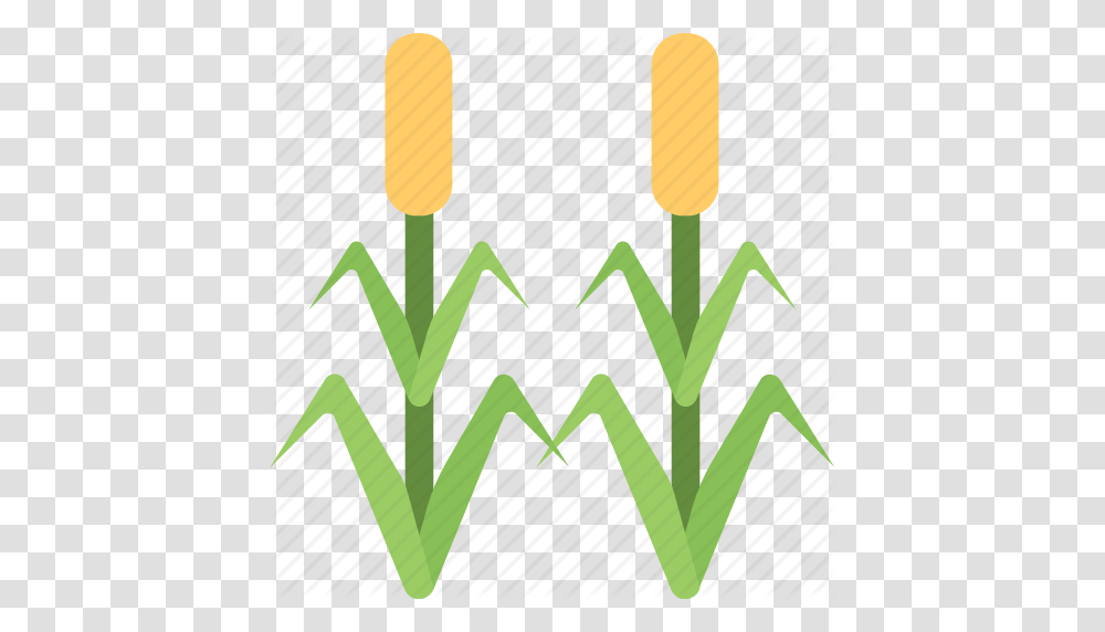 Agriculture Corn Field Corn Trees Farming Maize Organic, Insect, Invertebrate, Animal, Plant Transparent Png