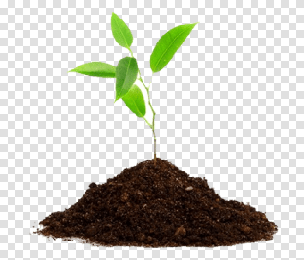 Agriculture Download, Soil, Plant, Sprout Transparent Png