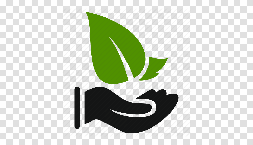 Agriculture Ecology Green Hand Leaf Leaves Natural Icon, Plant, Seed, Grain Transparent Png