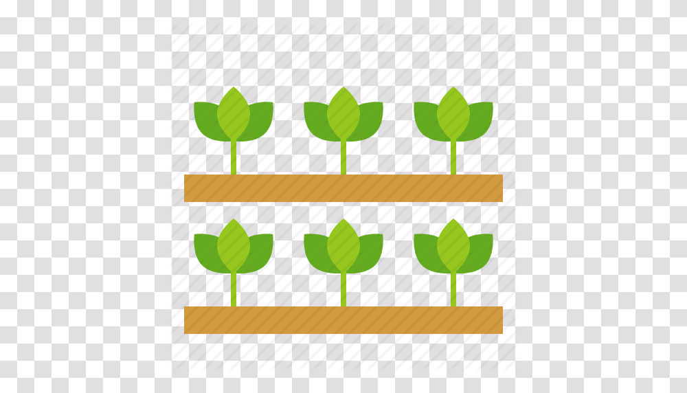 Agriculture Farm Field Plant Seedling Sprout Young Plant Icon, Lollipop, Candy, Food, Meal Transparent Png