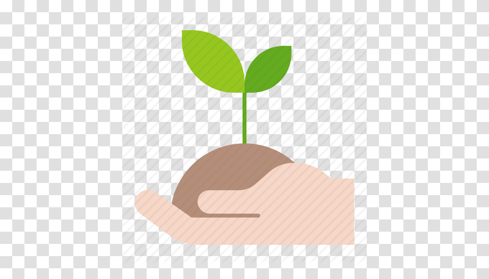 Agriculture Farm Plant Seedling Sprout Young Plant Icon, Hat, Label Transparent Png