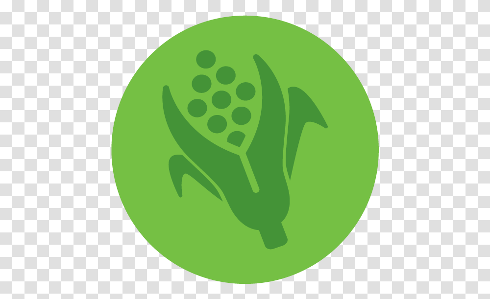 Agriculture Food And Natural Resources, Plant, Vegetable, Green Transparent Png