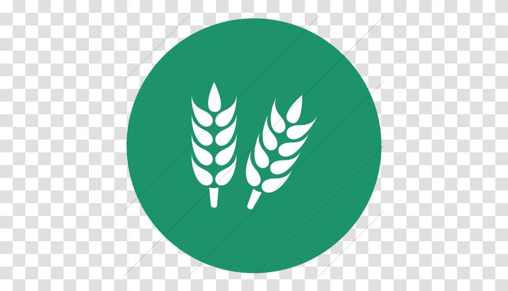 Agriculture Icon Gluten Free Logo, Green, Plant, Balloon, Vegetable Transparent Png