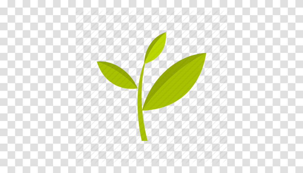 Agriculture Leaf Nature Plant Plantation Tea Tree Icon, Green, Seed, Grain, Food Transparent Png