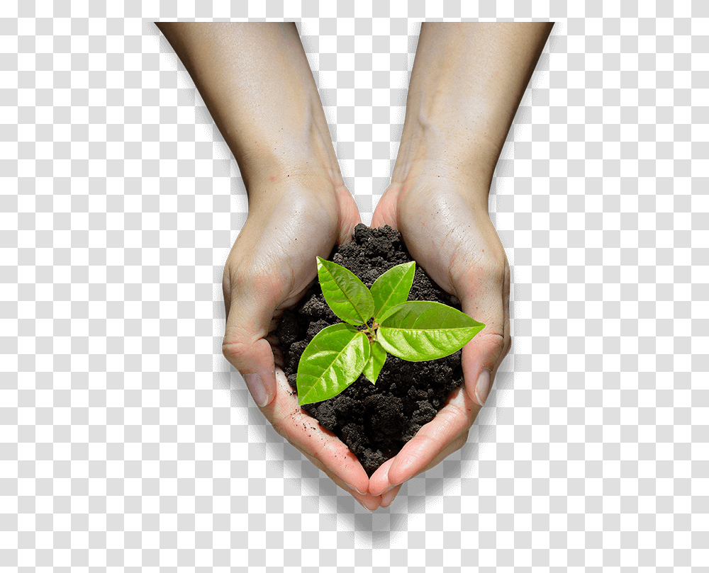 Agriculture, Person, Human, Plant, Soil Transparent Png