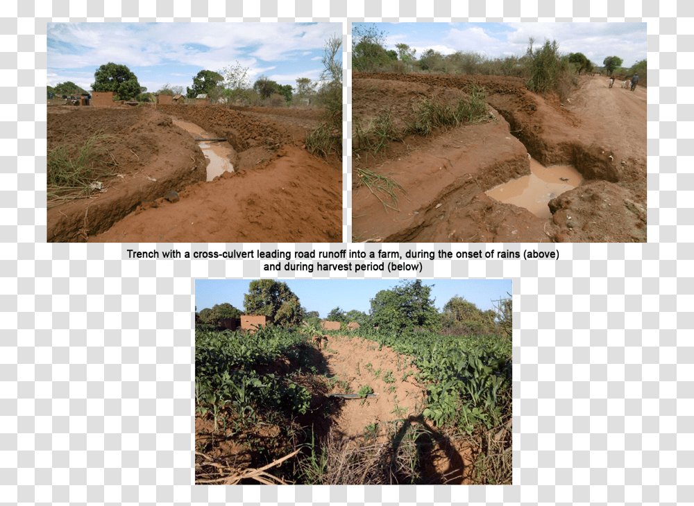 Agriculture, Soil, Ground, Nature, Outdoors Transparent Png