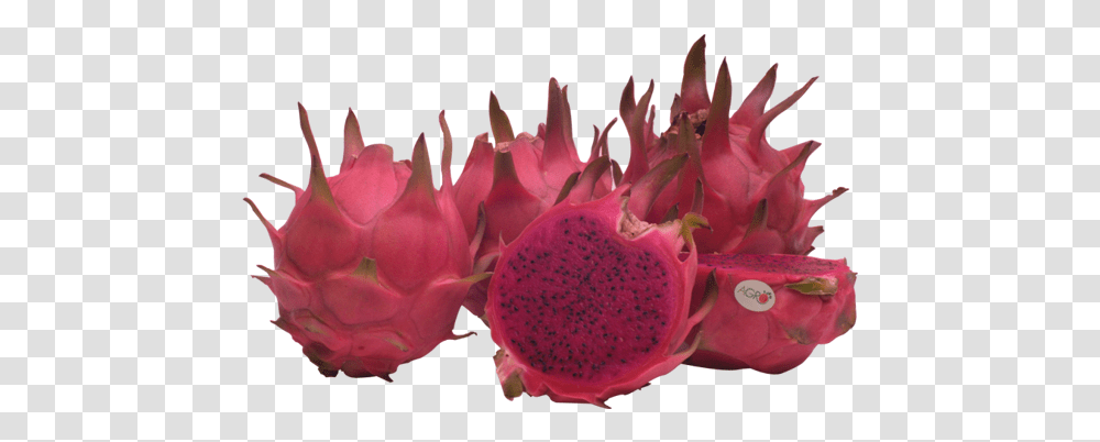 Agro Raw Red Dragon Fruit, Plant, Anther, Flower, Petal Transparent Png