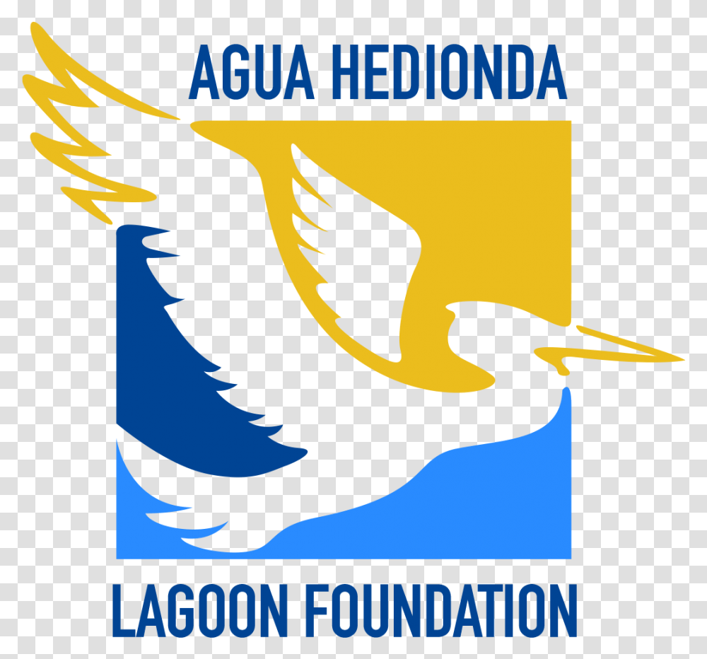 Agua Hedionda Lagoon Foundation Seabird, Advertisement, Poster, Symbol, Emblem Transparent Png