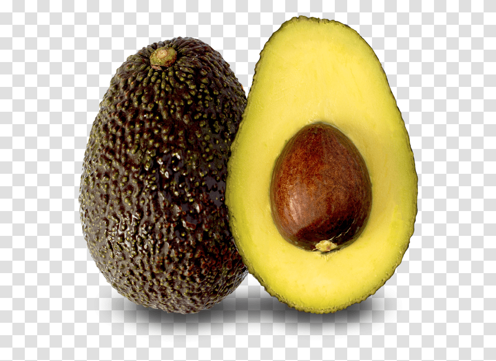 Aguacate Avocado Hass, Plant, Food, Fruit Transparent Png