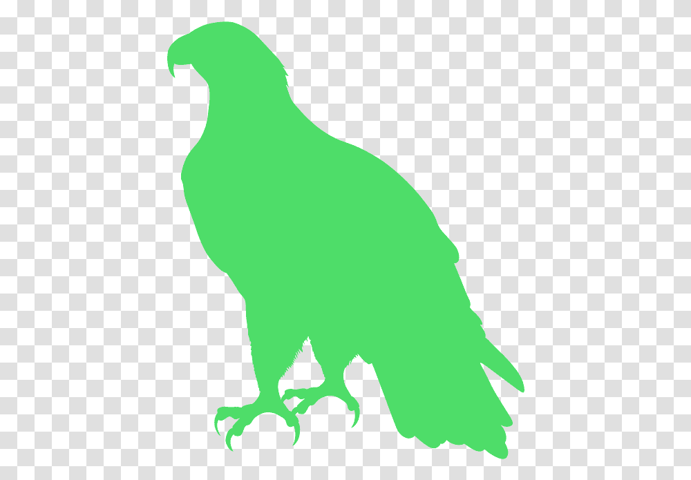 Aguila Americana Silueta, Green, Animal, Bird, Person Transparent Png