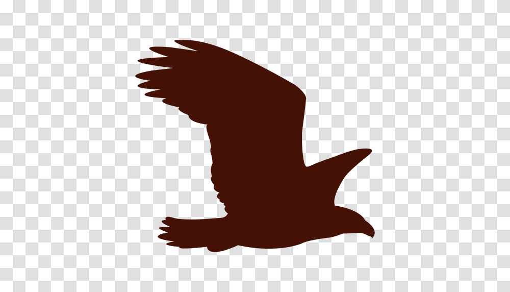 Aguila Animada Image, Silhouette, Animal, Wildlife, Mammal Transparent Png