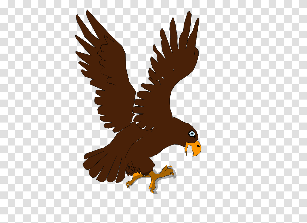 Aguila Clipart, Eagle, Bird, Animal, Kite Bird Transparent Png
