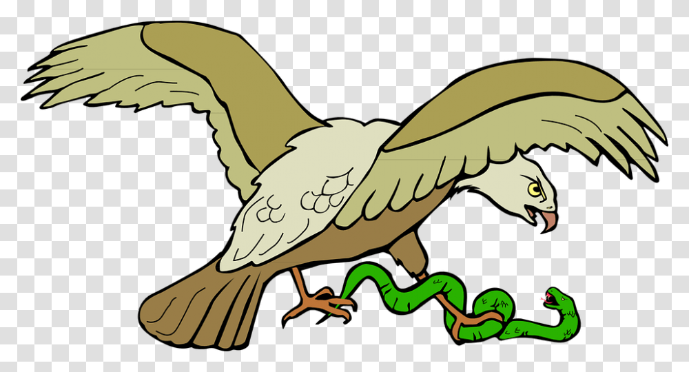 Aguila Volando Eagle Eating Snake Clipart, Vulture, Bird, Animal, Condor Transparent Png